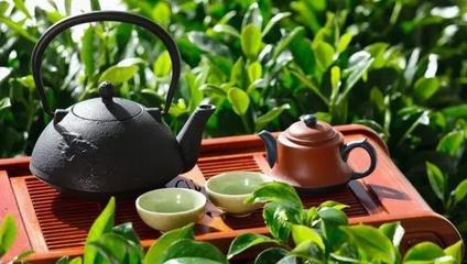春茶上市，辦公桌上的那一杯，是“真香”還是“套路”？幾招教你輕松辨別