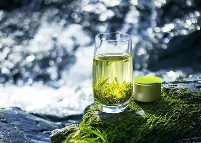 湖南農大專家在茶葉中發現新型成分，助力預防肌肉萎縮，未來或可開發為辦公健康產品