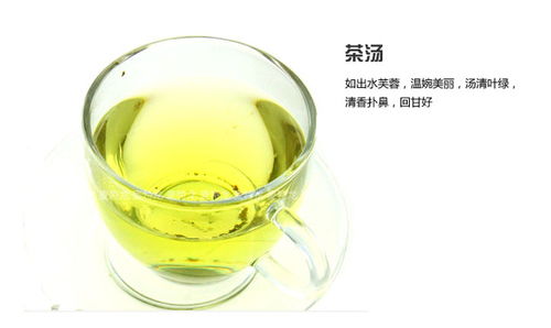 與山共飲，一葉知心——溪源茶葉產品圖賞與意境店鋪設計解析